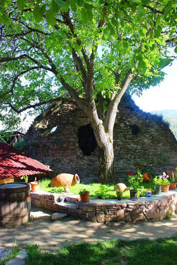 Hotel Beni Akhaltsikhe  Εξωτερικό φωτογραφία